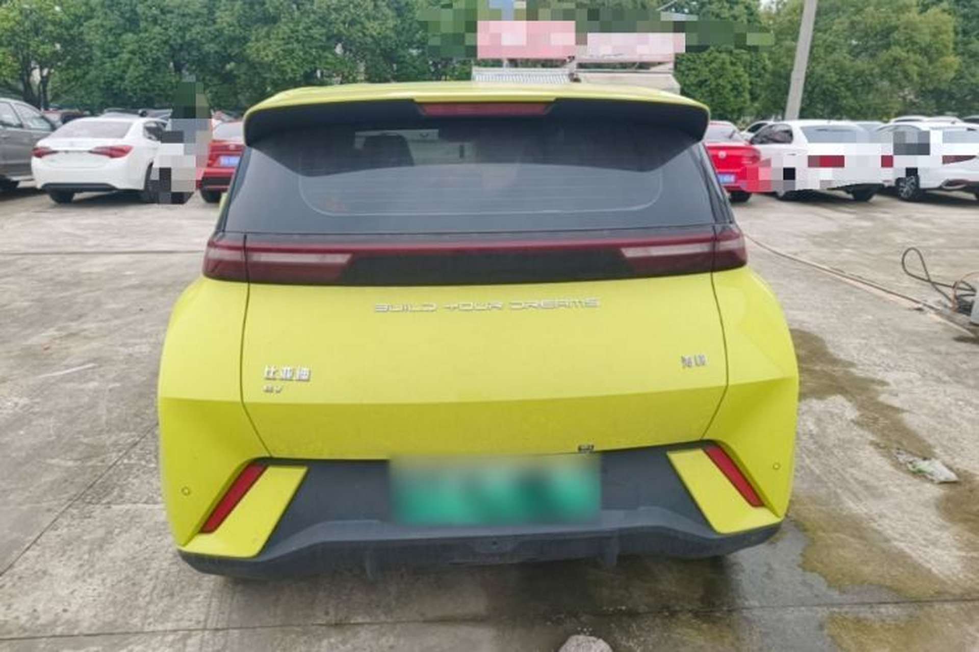 Used BYD Seagull 2023 Flying Edition Rear