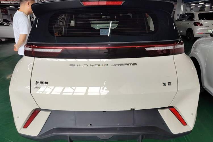 Used BYD Seagull 2023 Free Edition Rear