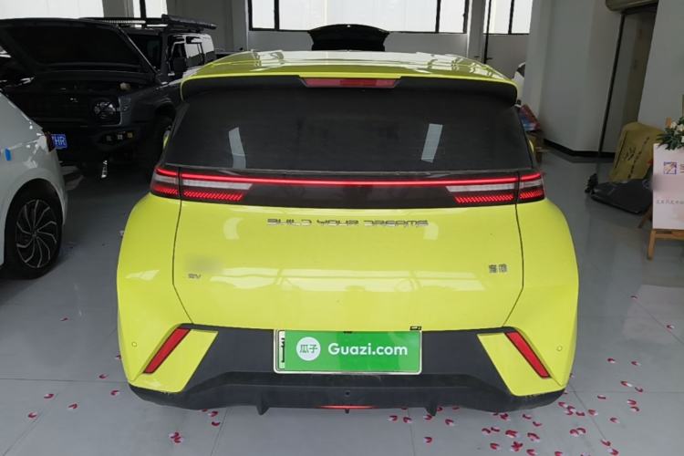 Used BYD Seagull 2023 Flying Edition Rear