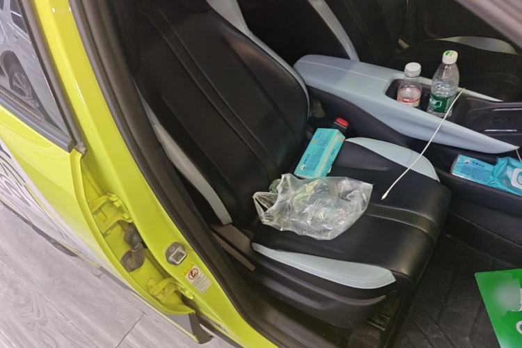 Used BYD Seagull 2023 Flying Edition Right Front Seat