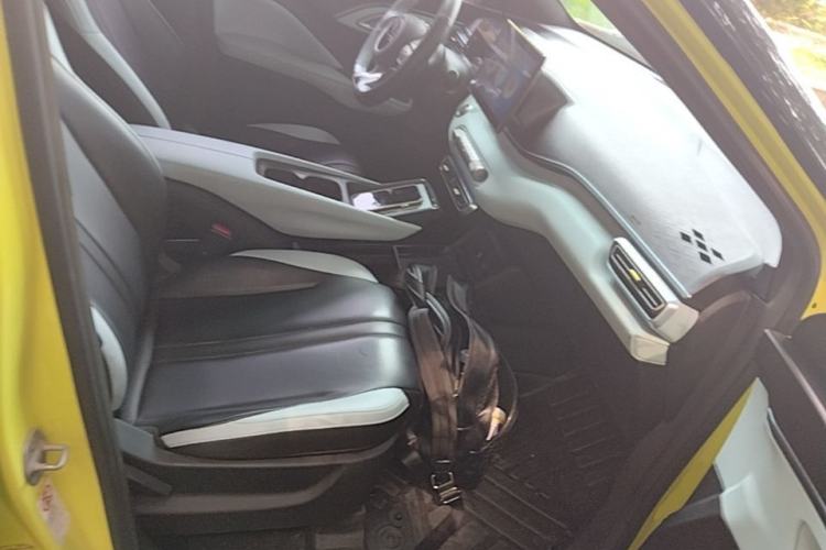 Used BYD Seagull 2023 Flying Edition Right Front Seat