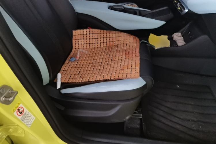 Used BYD Seagull 2023 Flying Edition Right Front Seat