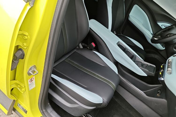 Used BYD Seagull 2023 Flying Edition Right Front Seat