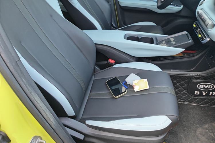 Used BYD Seagull 2023 Free Edition Right Front Seat