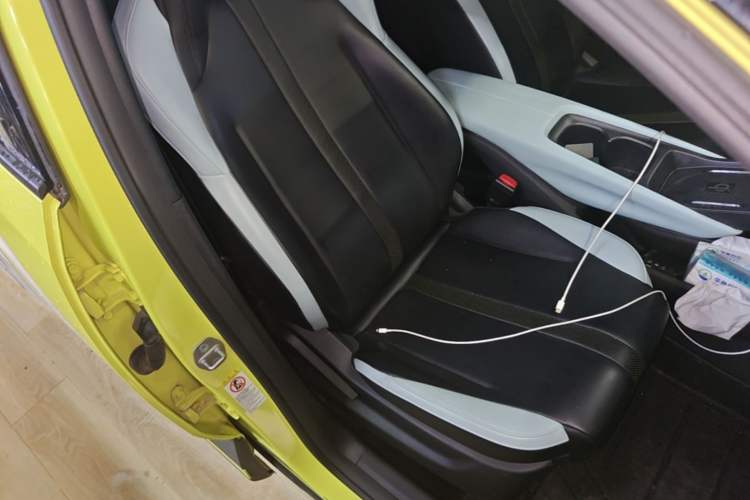 Used BYD Seagull 2023 Flying Edition Right Front Seat