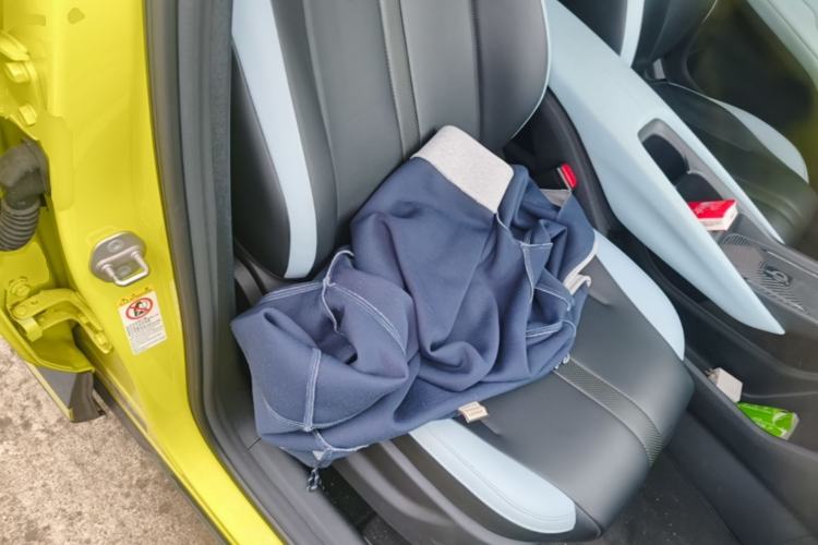 Used BYD Seagull 2023 Flying Edition Right Front Seat