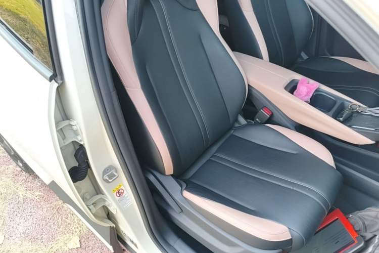 Used BYD Seagull 2023 Flying Edition Right Front Seat