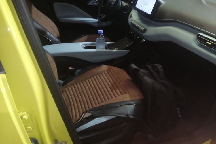 Used BYD Seagull 2023 Flying Edition Right Front Seat