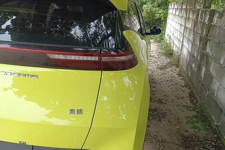 Used BYD Seagull 2023 Flying Edition Right Rear Taillight