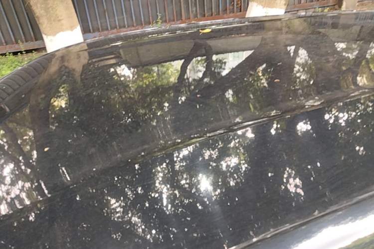 Used BYD Seagull 2023 Flying Edition Roof