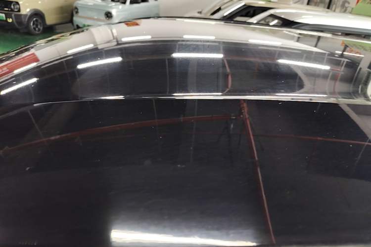 Used BYD Seagull 2023 Free Edition Roof