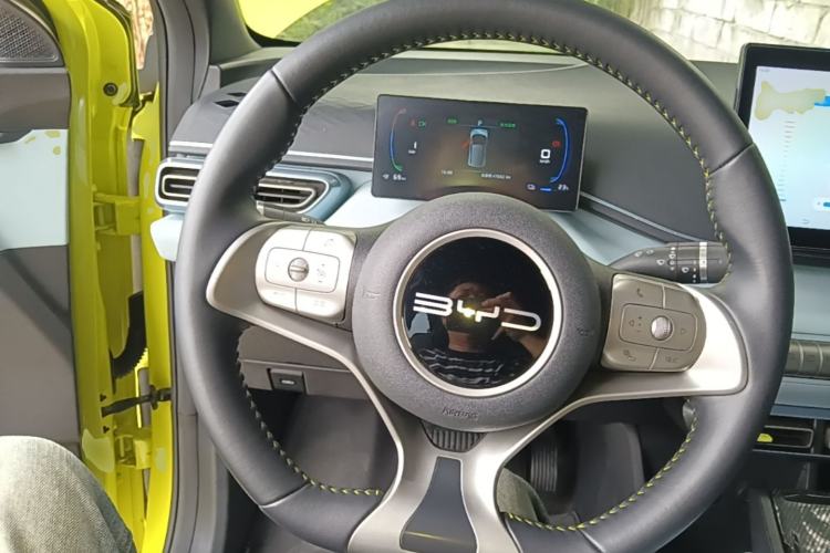 Used BYD Seagull 2023 Flying Edition Steering Wheel