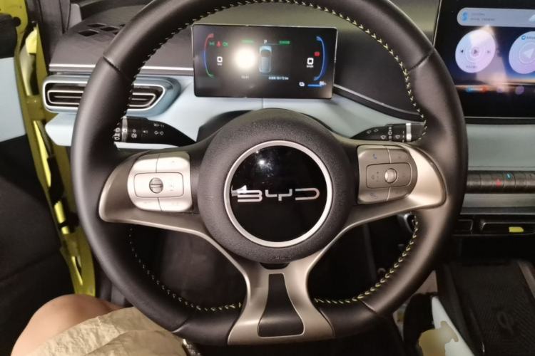 Used BYD Seagull 2023 Flying Edition Steering Wheel