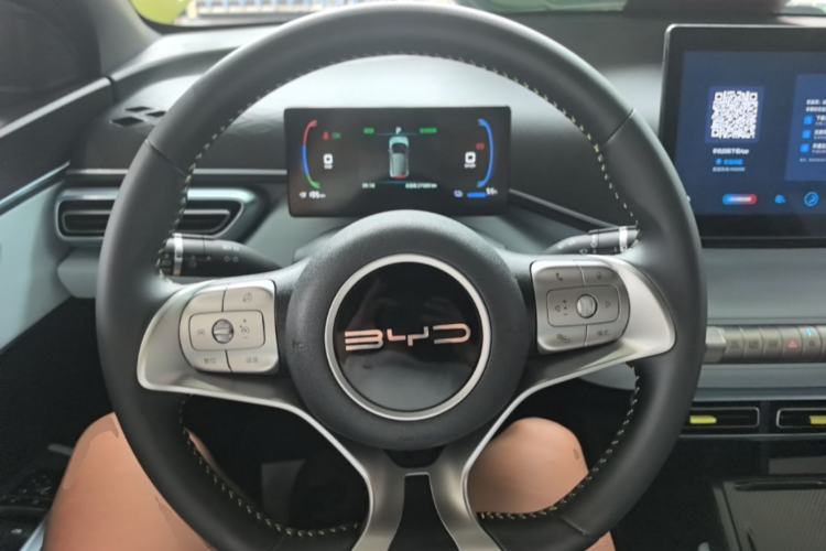 Used BYD Seagull 2023 Flying Edition Steering Wheel
