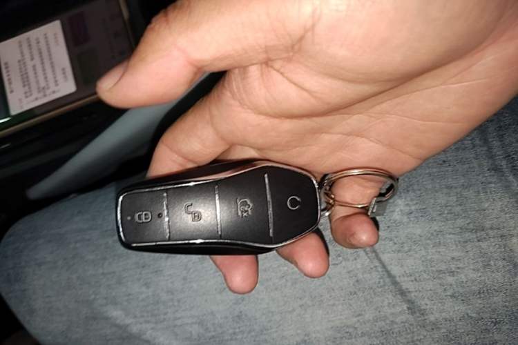 Used BYD Seagull 2023 Flying Edition Vehicle Key