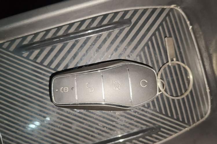 Used BYD Seagull 2023 Flying Edition Vehicle Key