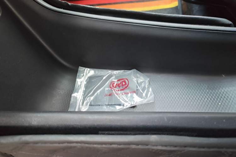 Used BYD Seagull 2023 Free Edition Vehicle Key