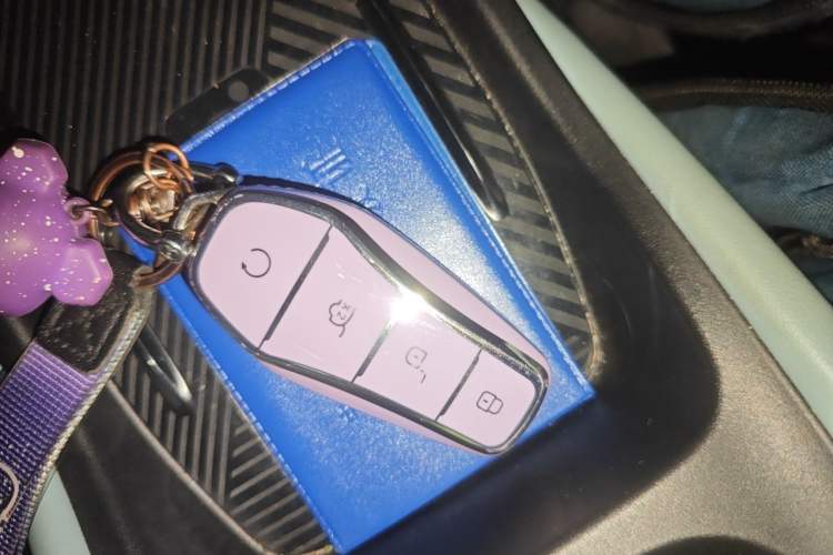 Used BYD Seagull 2023 Flying Edition Vehicle Key