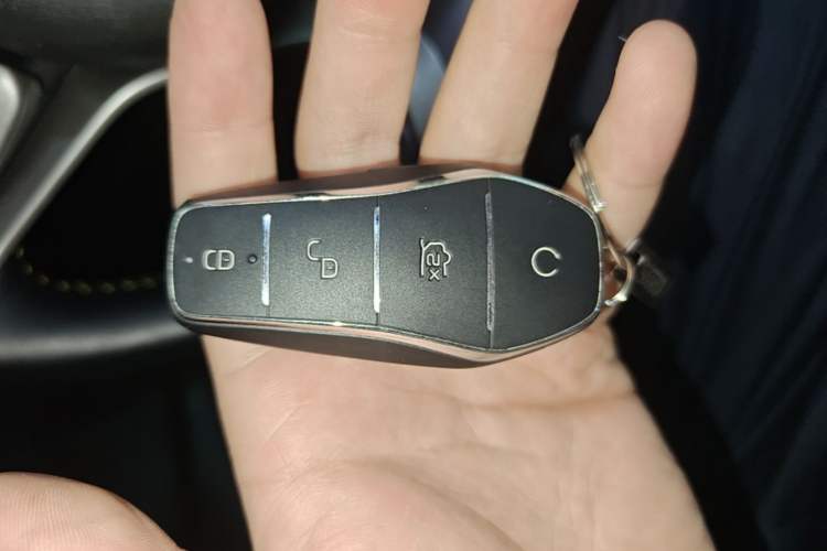 Used BYD Seagull 2023 Flying Edition Vehicle Key