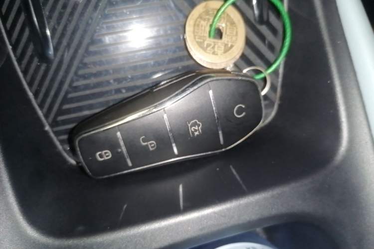 Used BYD Seagull 2023 Flying Edition Vehicle Key