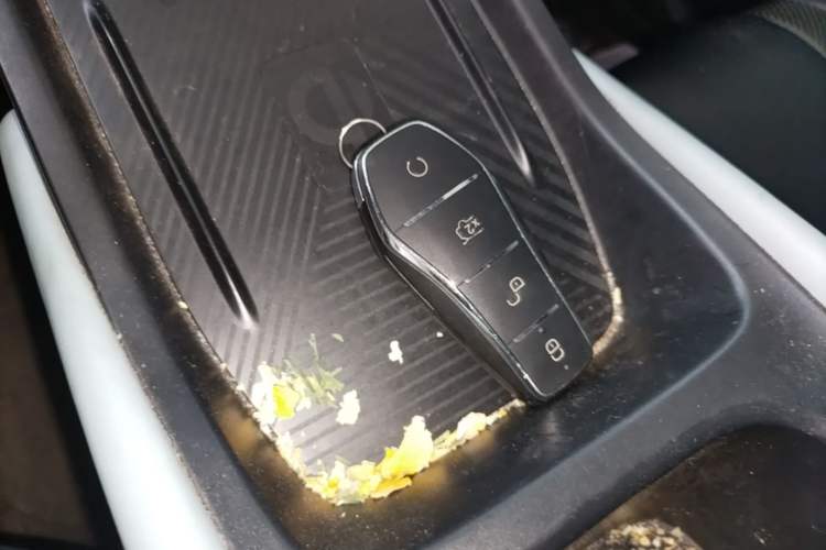 Used BYD Seagull 2023 Free Edition Vehicle Key