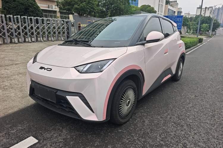 Used BYD Seagull 2024 Honor Edition 305km Dynamic Version Guazi used car, China used car export, Used car for sale, Used  cars, Cheapest cars for sale