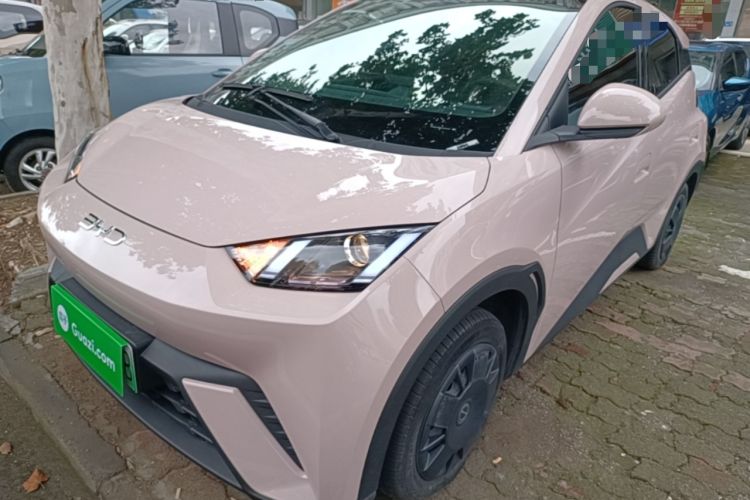 BYD Seagull 2024 Honor Edition 305km Dynamic Version