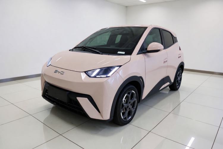 BYD Seagull 2024 Honor Edition 305km Freedom Version