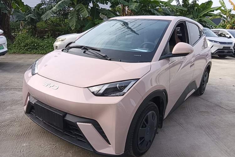 Used BYD Seagull 2024 Honor Edition 305km Dynamic Version Guazi used car, China used car export, Used car for sale, Used  cars, Cheapest cars for sale