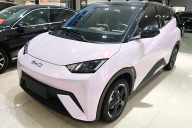 Used BYD Seagull 2024 Honor Edition 305km Freedom Version