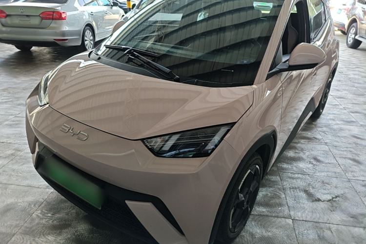 BYD Seagull 2024 Honor Edition 305km Freedom Version