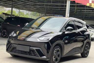 Used BYD Seagull 2024 Honor Edition 305km Freedom Version