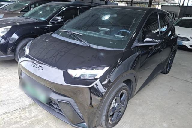Used BYD Seagull 2024 Honor Edition 305km Freedom Version