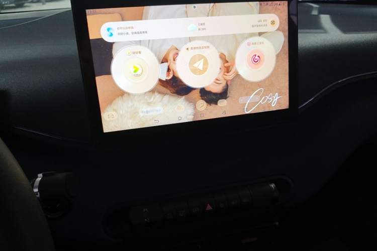 Used BYD Seagull 2024 Honor Edition 305km Dynamic Version Audio And AC Panel