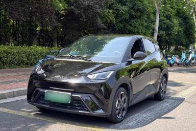 Used BYD Seagull 2024 Honor Edition 305km Freedom Version