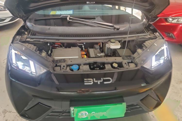 Used BYD Seagull 2024 Honor Edition 305km Freedom Version Engine Bay