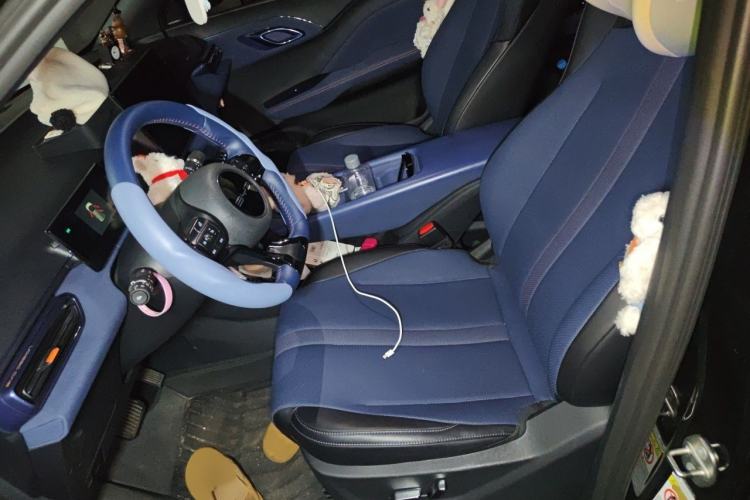 Used BYD Seagull 2024 Honor Edition 405km Flying Version Left Front Seat
