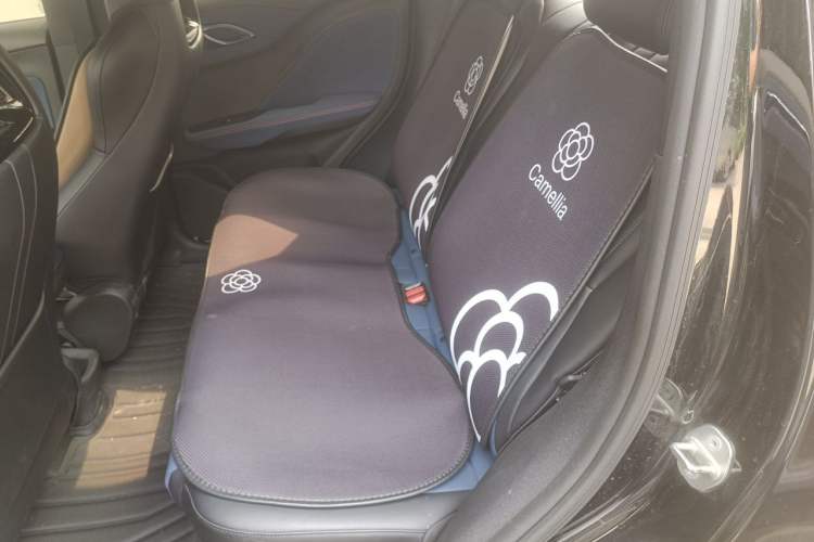 Used BYD Seagull 2024 Honor Edition 305km Dynamic Version Left Rear Seat