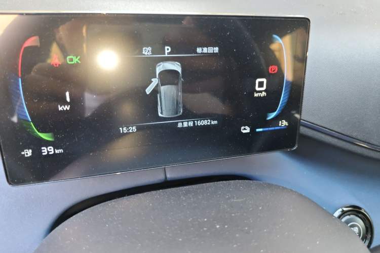 Used BYD Seagull 2024 Honor Edition 305km Freedom Version Odometer Close Up