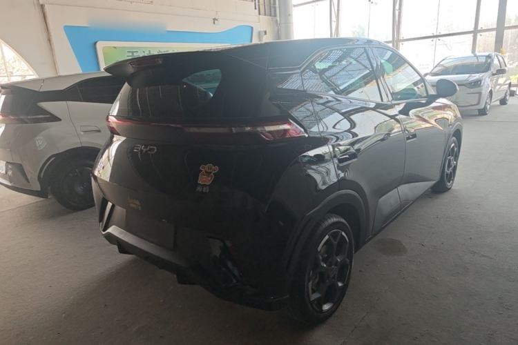 Used BYD Seagull 2024 Honor Edition 305km Freedom Version Rear Right 45 Deg