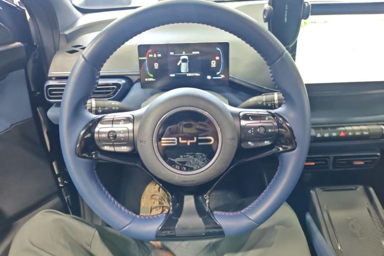 Used BYD Seagull 2024 Honor Edition 305km Freedom Version Steering Wheel