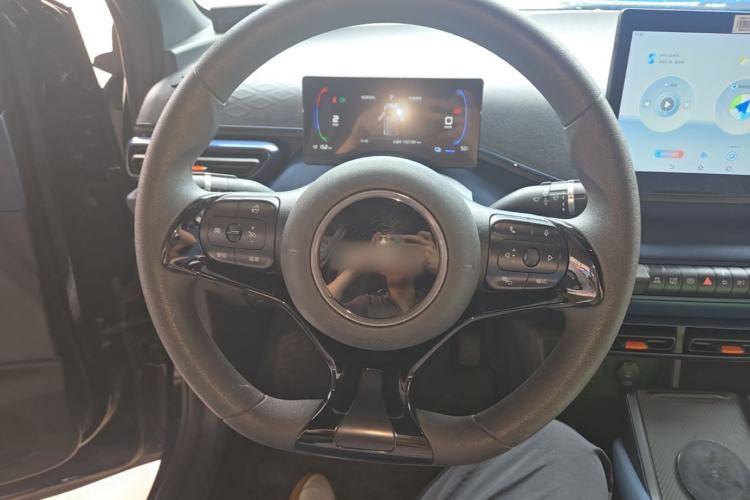 Used BYD Seagull 2024 Honor Edition 305km Freedom Version Steering Wheel