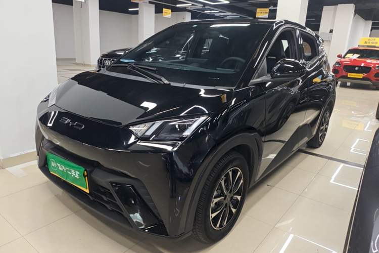 BYD Seagull 2024 Honor Edition 305km Dynamic Version