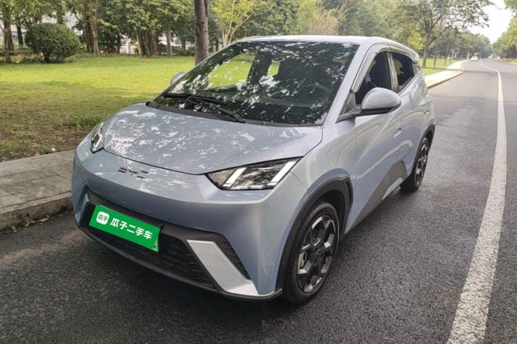 BYD Seagull 2024 Honor Edition 305km Freedom Version