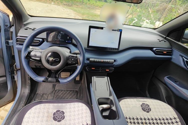Used BYD Seagull 2024 Honor Edition 305km Freedom Version Center Console