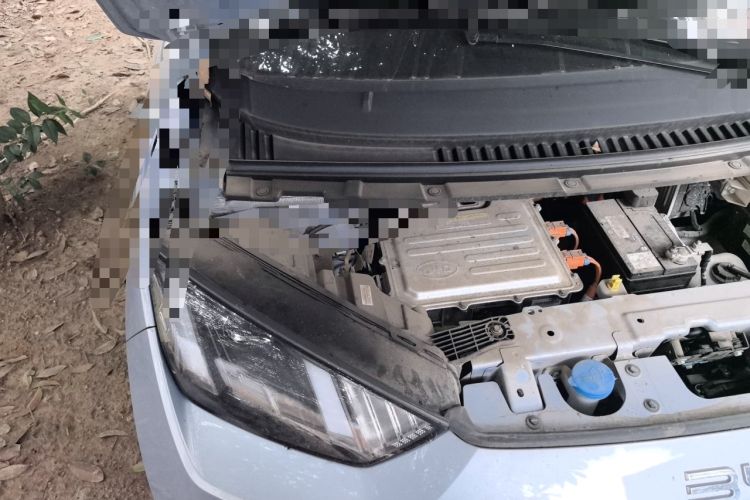 Used BYD Seagull 2024 Honor Edition 305km Dynamic Version Engine Bay Right