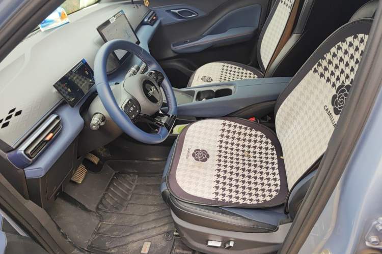 Used BYD Seagull 2024 Honor Edition 305km Freedom Version Left Front Seat