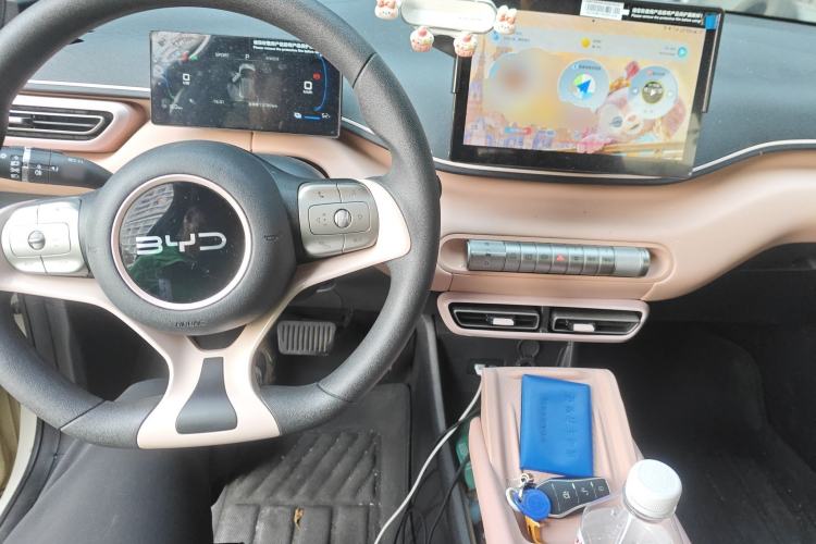 Used BYD Seagull 2024 Honor Edition 305km Freedom Version Center Console