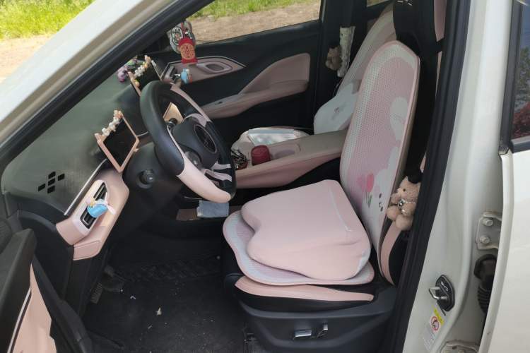 Used BYD Seagull 2024 Honor Edition 405km Flying Version Left Front Seat