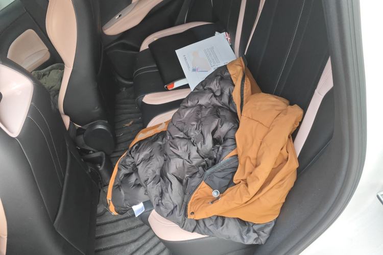 Used BYD Seagull 2024 Honor Edition 305km Freedom Version Left Rear Seat